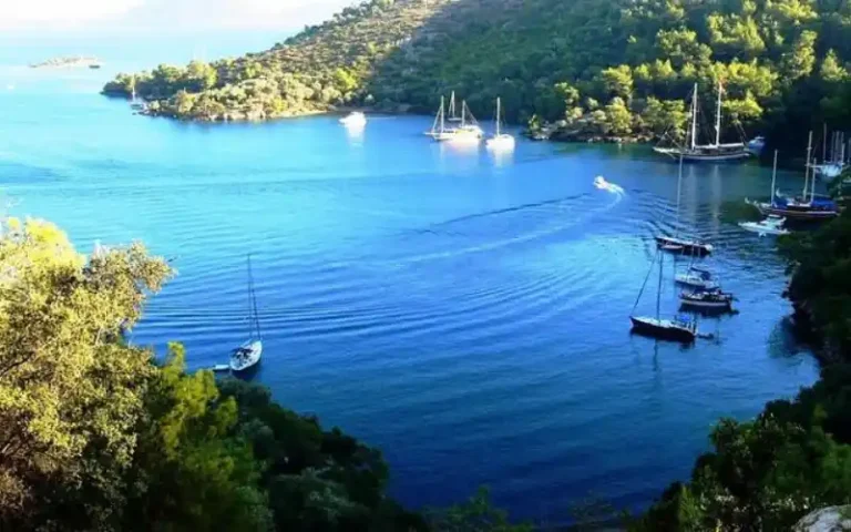 bedri_koyu